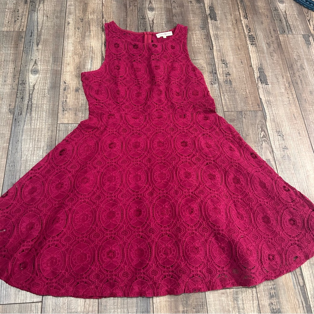 Altar'd‎ State Size Large Womens Sleeveless Lace Overlay Short A-Line Dress